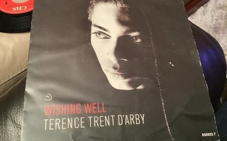 TERENCE TRENT D’ARBY - WISHING WELL