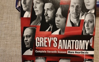 Grey's anatomy kausi 7