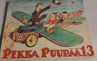 pekkapuupää 13