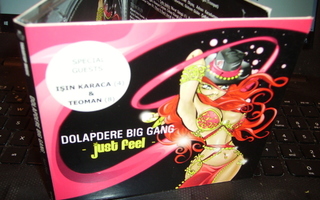 CD : DOLAPDERE BIG GANG : Just Feel  ( SIS.PK )