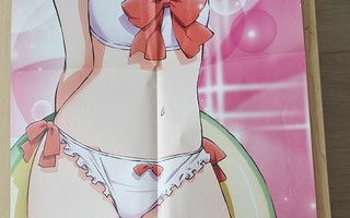 Anime-juliste: Magical Girl Nanoha / Madoka (100x36cm)