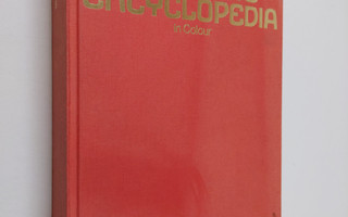 Hamlyn Children's Encyclopedia : In Colour