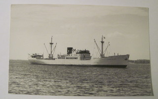 VANHA Postikortti Laiva Astrid Thorden 1950-luku