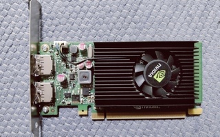 Nvidia Graphics Card NVS 310 DisplayPort