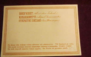 Ehiökortti 16 pen ruskea-brown Stationery post card