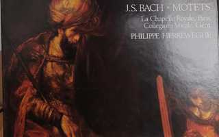 J.S. Bach La Chapelle Royale, Paris Collegium Vocale, Gent