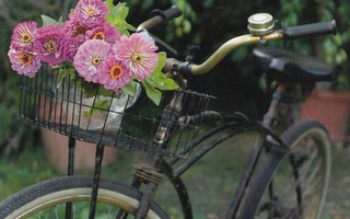 Polkupyörä, kukkia korissa