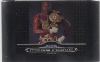 Evander Holyfield's Real Deal Boxing