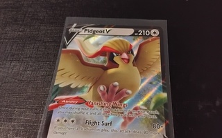 PIDGEOT  V