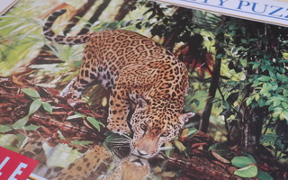 UUSI 2000 p. palapeli, leopardi