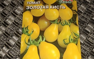 Tomaatti "Keltainen päärynä" 10+ siementä