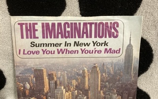 The Imaginations – Summer In New York / Love You When 7"