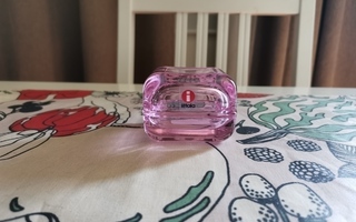 Iittala Vitriini rasia 60x60 mm, Sweet pink lasi