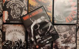 Sons Of Anarchy 1-7(Dvd)