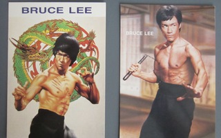 Bruce  Lee,  kaksi kulkematonta korttia