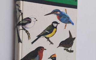 Sigfrid Durango : Fåglarna i färg