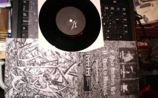 AN 7" Pure Northern Hell (Sis.pk:t)