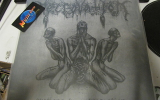 NECROVATION - OVATIONS TO PUTREFACTION LP UUSI