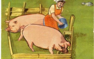 Sagokonst 31 - Elämä maalla - Nelkku - Emäntä ruokkii sikoja