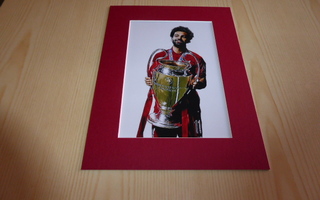 Uusi Salah Liverpool FC valokuva ja paspis