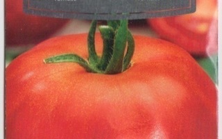 Tomaatti siemenet - Betalux