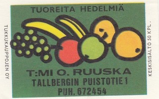 T:mi O. Ruuska . Tallbergin Puistotie 1   b357