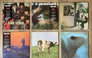 Pink Floyd vinyylilevykokoelma, 19 x LP’s