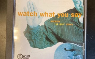 Andrew "Jr. Boy" Jones - Watch What You Say CD