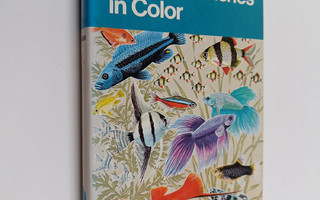 Jens Meulengracht-Madsen : Aquarium Fishes in Color