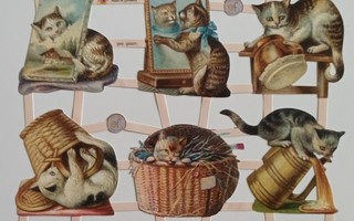 Kiiltokuva-arkki kissat leikkivät