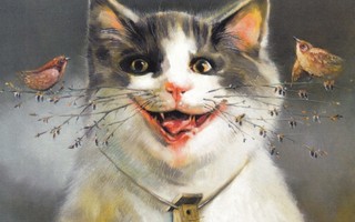 Laimonas Smergelis: Kissa ja pikkulinnut