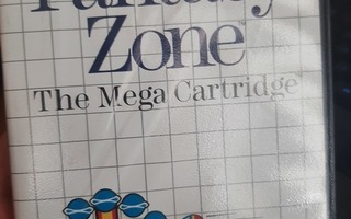 Sega Master System Fantasy Zone, ei ohjeita