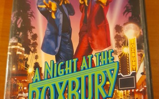 A NIGHT AT THE ROXBURY