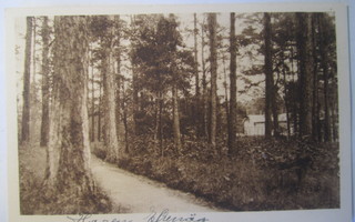 VANHA Postikortti Tammisaari 1920-l