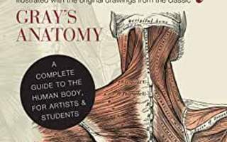 ANATOMY COMPLETE GUIDE..Human Body..Artists & Students UUSI