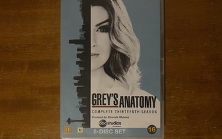 Greyn anatomia Kausi 13 DVD