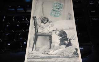 Kaunis Tyttö Sängyssä Nukke Koira v.1905 PK75