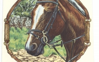 Posliinisiirtokuva Ruskea hevonen