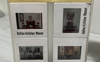 Gallen-Kallelan Museo diakuvapaketti (Helsinki 1)
