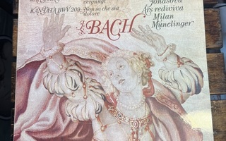 J. S. Bach: Kantata BWV 204, 209 lp