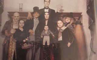 The Addams Family II (DVD) Anjelica Huston, Raul Julia