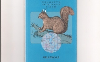Maastokartta 1:20 000 Pelleskylä