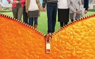 oranges	(10 307)	vuok	-FI-	suomik.	DVD			2011	(ei vuokra käy