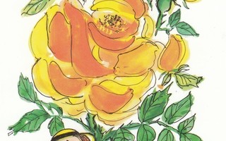 Virpi Pekkala 1531 Ruusu ruusulle   c19