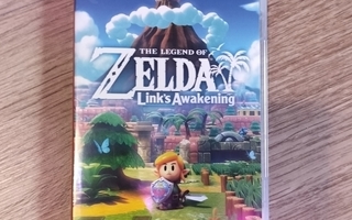 NSW Zelda Link's Awakening