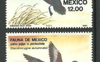 LINNUT sorsat lintuaiheinen sarja MEKSIKO **