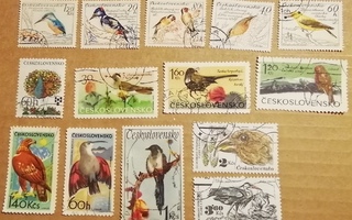Tsekkoslovakia vanhemmat lintuaiheiset merkit