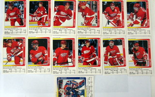Panini Hockey 1991-92 stickers tarroja, Katso!