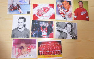 9 kpl Detroit Red Wings NHL valokuvia