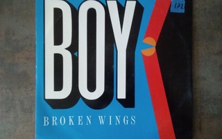Boy - Broken Wings